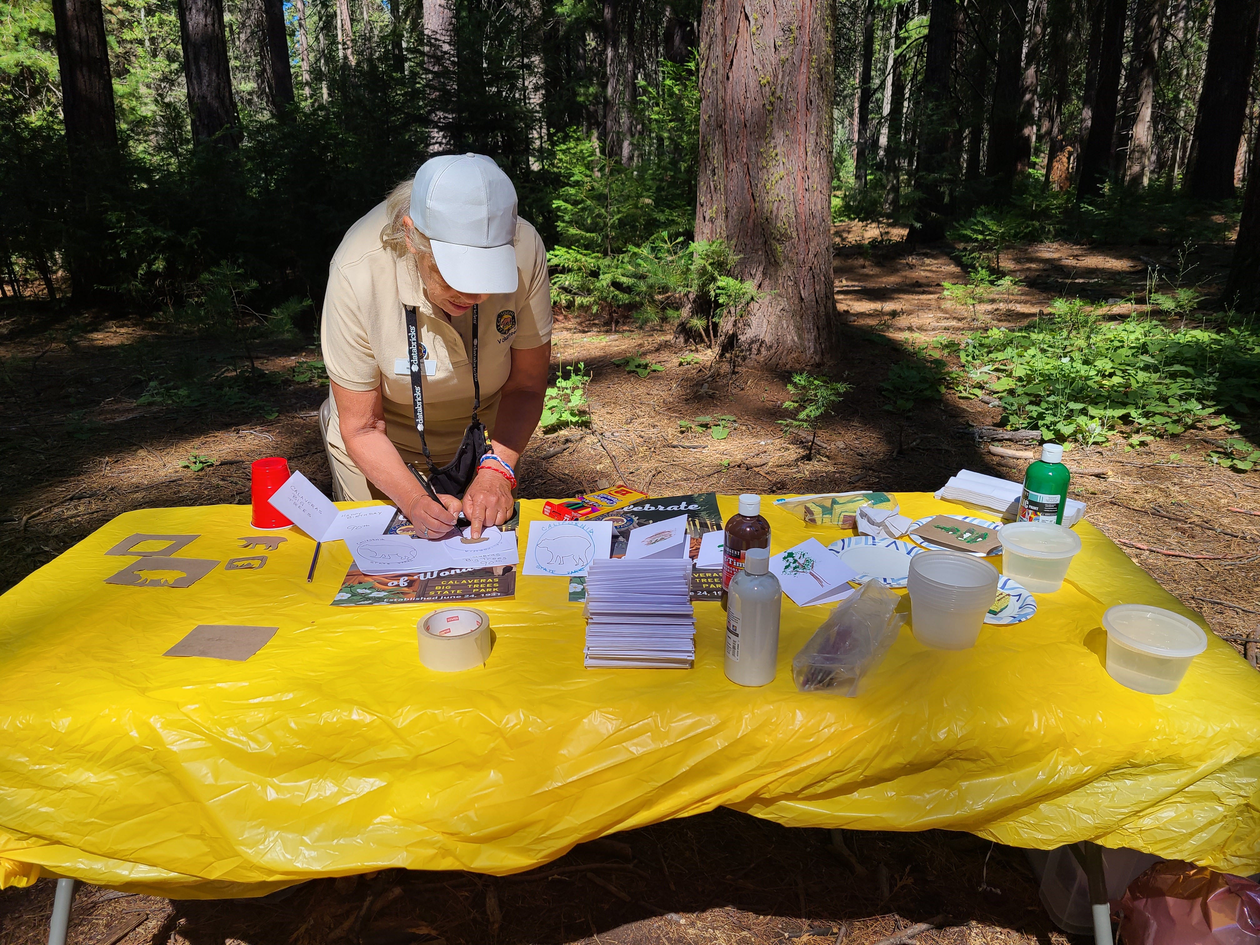 Volunteer Helping at a Special Event Table 
